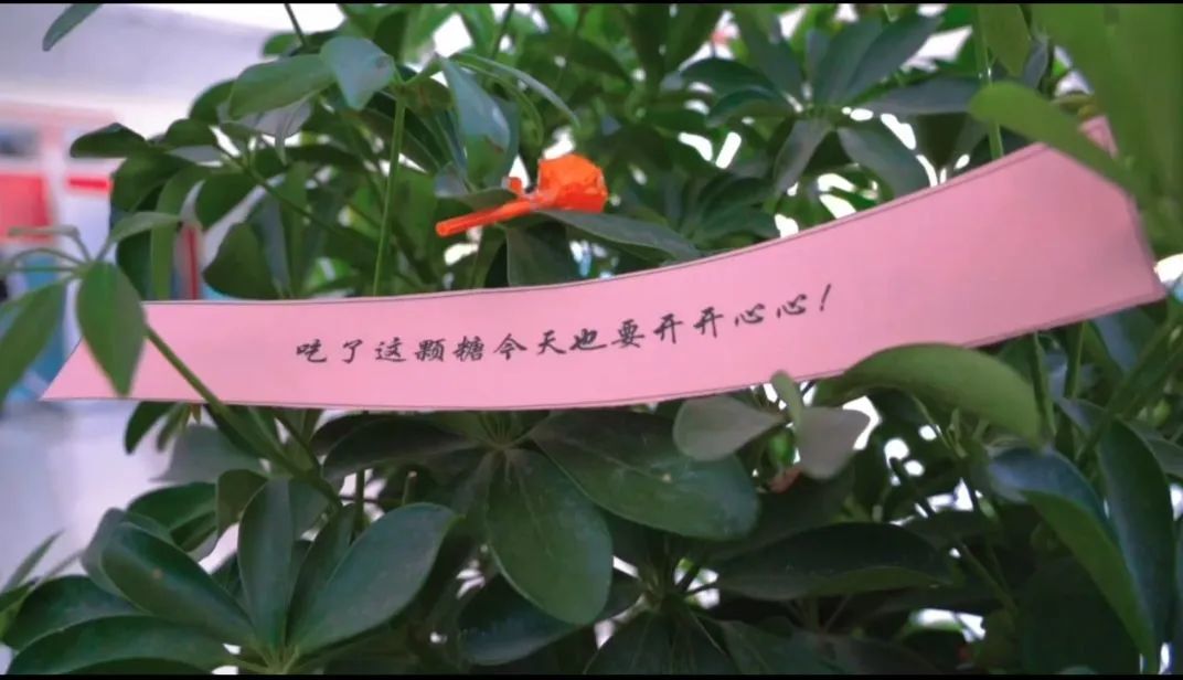 mmexport1651481474282.jpg 图片