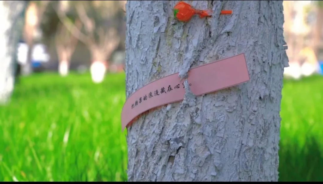 mmexport1651481448191.jpg 图片