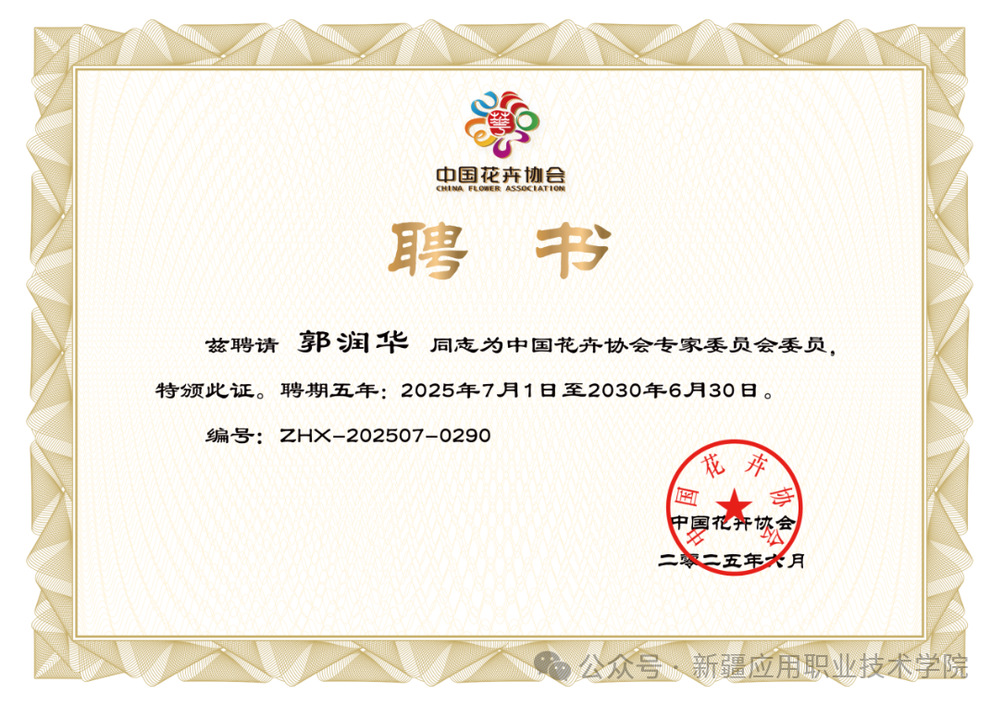 图片 2.png
